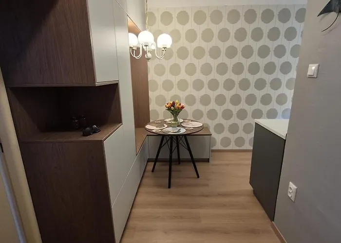 Amazing View Of The River Donau