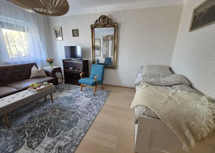 Amazing View Of The River Donau Appartement *