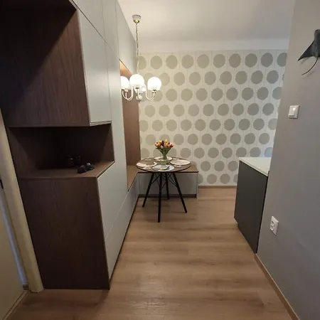 Amazing View Of The River Donau