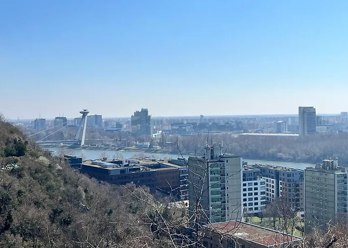 Amazing View Of The River Donau Apartmán Bratislava
