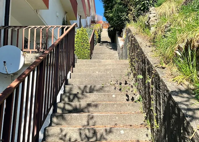 Amazing View Of The River Donau * Bratislava