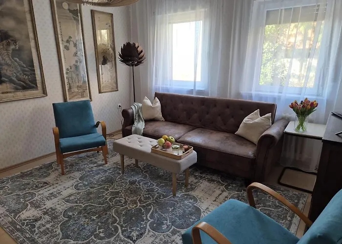 Amazing View Of The River Donau *