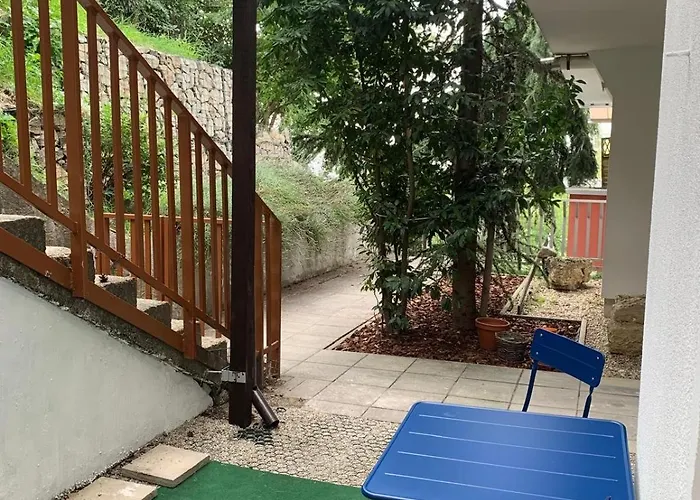 Amazing View Of The River Donau